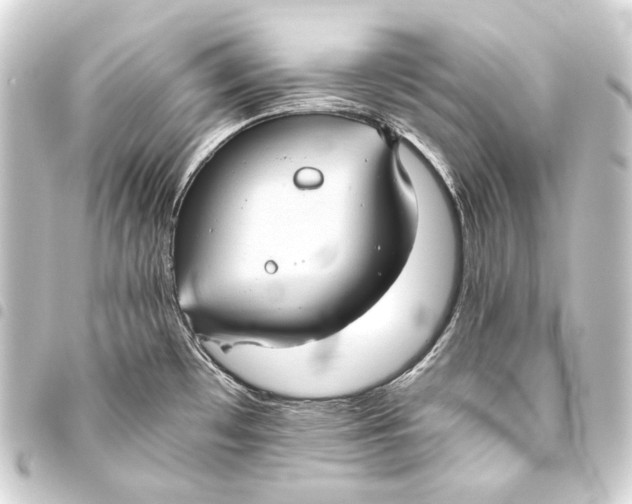 X0000093461481200711021124