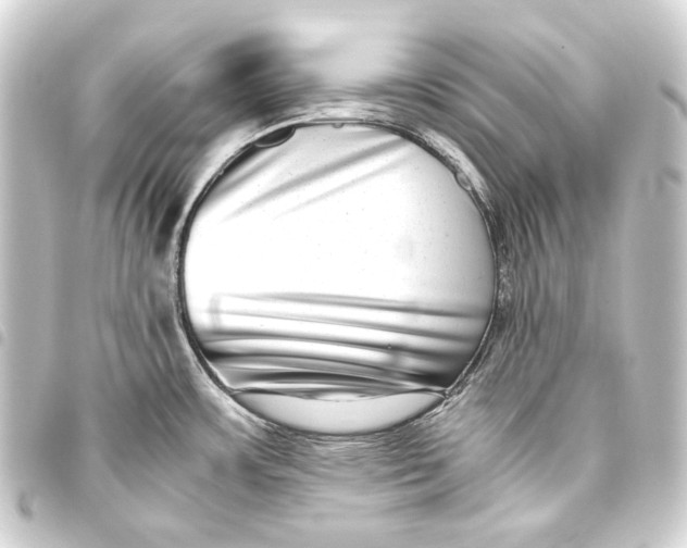 X0000093461483200711021124