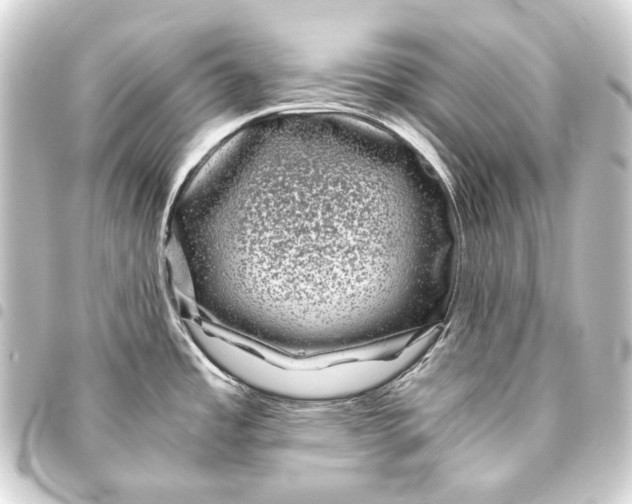 X0000093461485200711021124