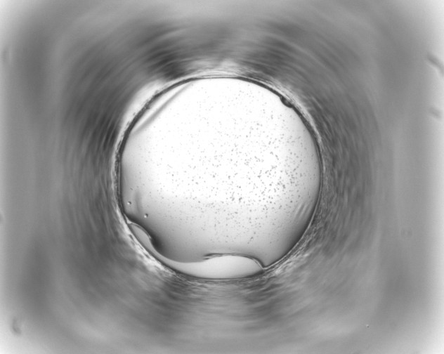 X0000093461488200711021124