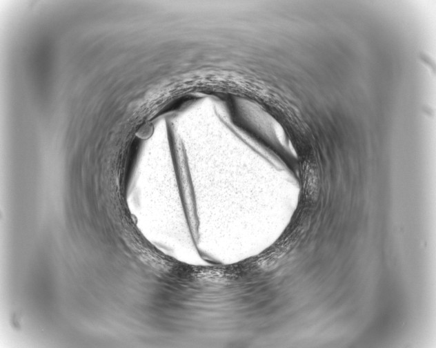 X0000093461489200711021123