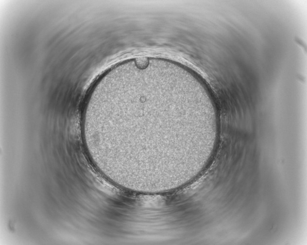 X0000093461498200711021123