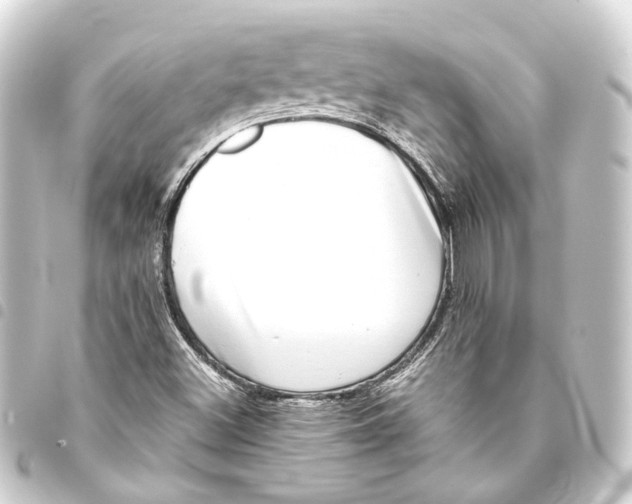 X0000093461500200711021124