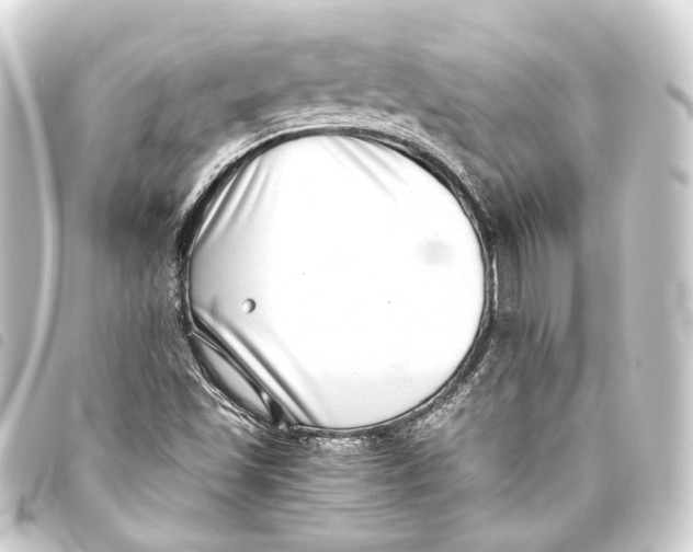 X0000093461501200711021124