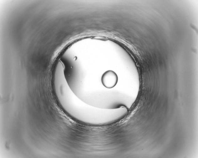 X0000093461502200711021124