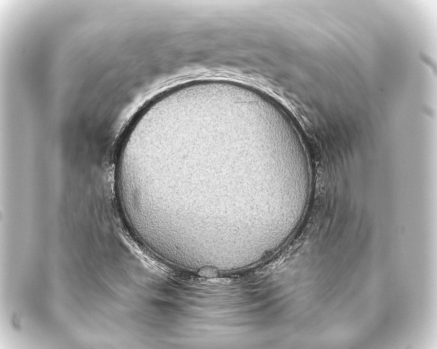 X0000093461503200711021124