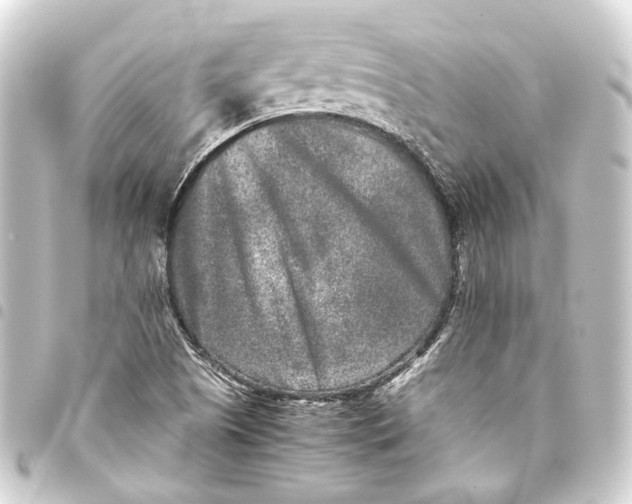 X0000093461505200711021124