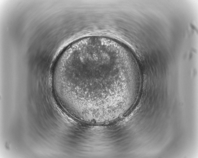 X0000093461506200711021124