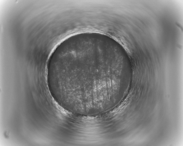 X0000093461508200711021124