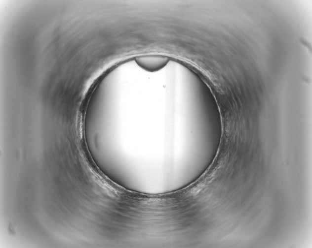 X0000093461510200711021124