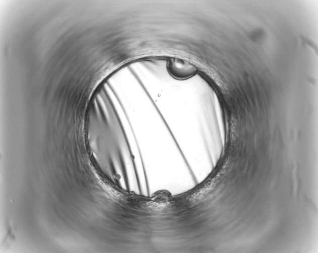 X0000093461513200711021124