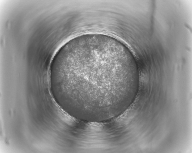 X0000093461514200711021124