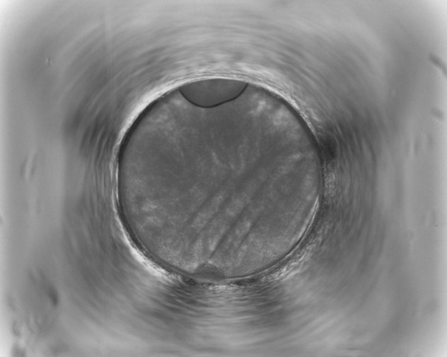 X0000093461515200711021124