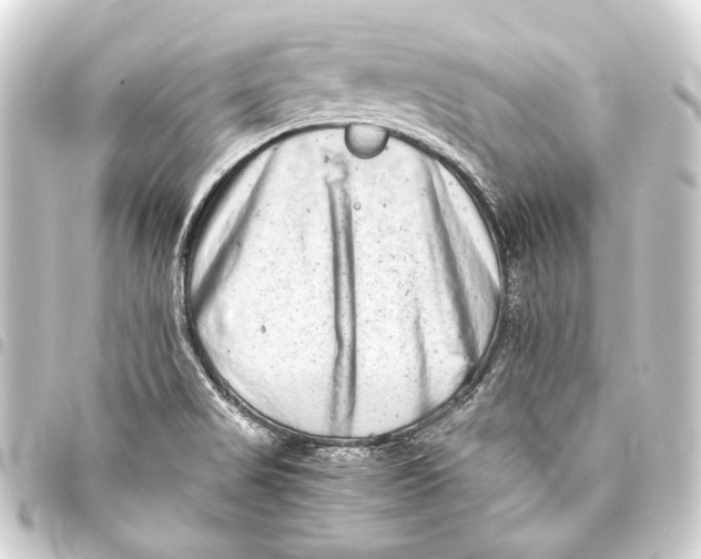 X0000093461517200711021124