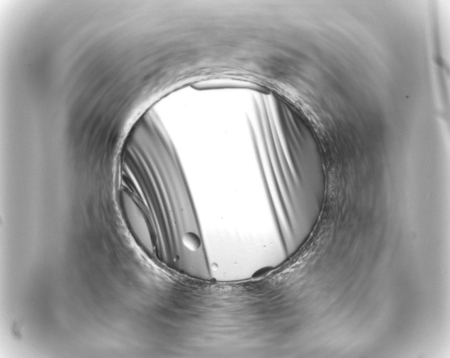 X0000093461520200711021124