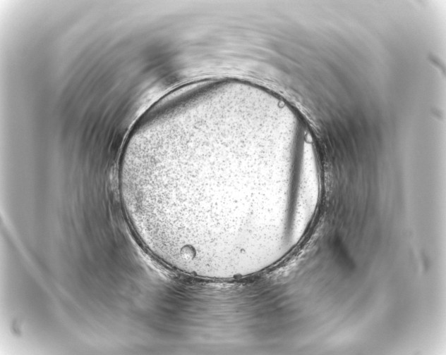 X0000093461521200711021124