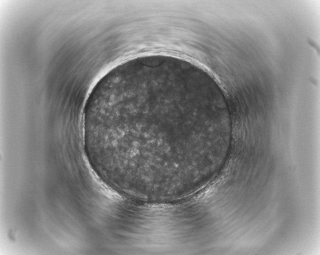 X0000093461522200711021124