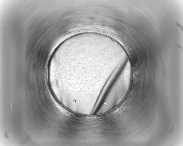 X0000093461523200711021124