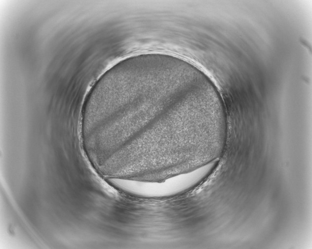 X0000093461525200711021124