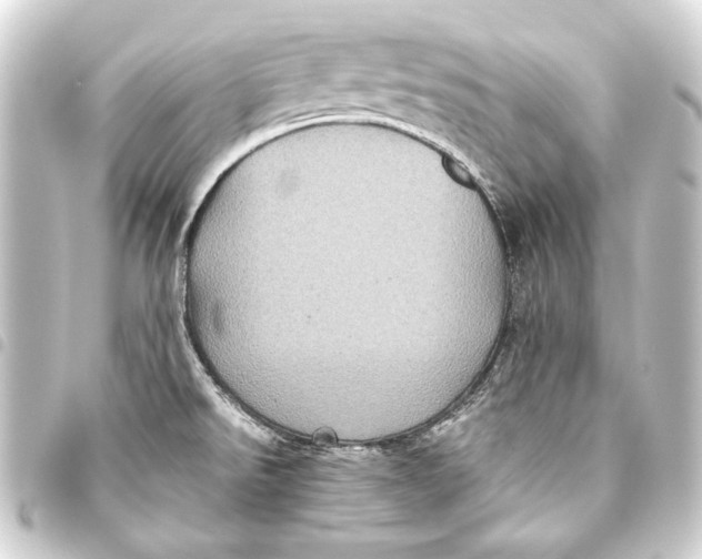 X0000093461526200711021124