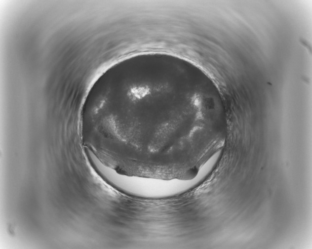 X0000093461527200711021124