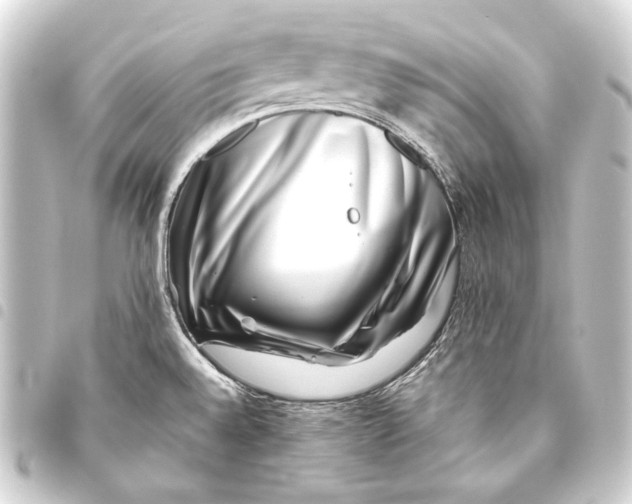 X0000093461528200711021124