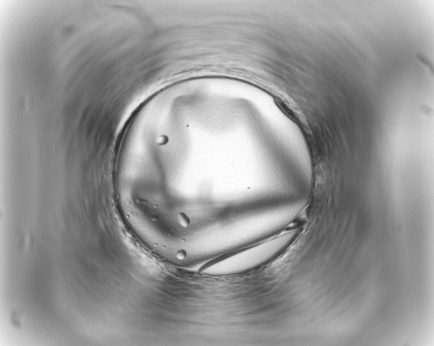 X0000093461530200711021124