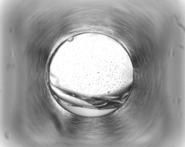 X0000093461531200711021124