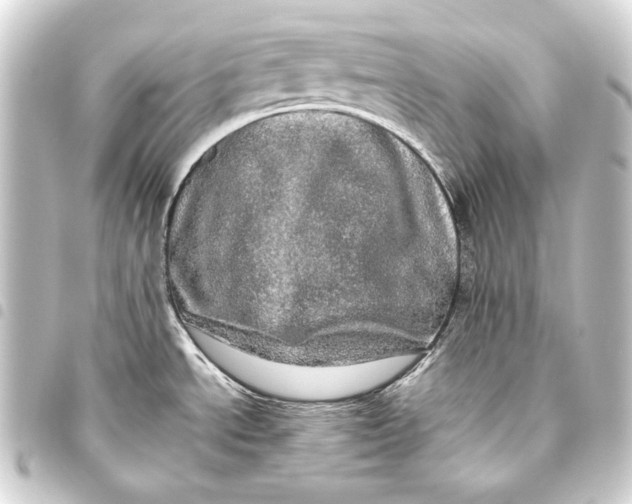 X0000093461534200711021124