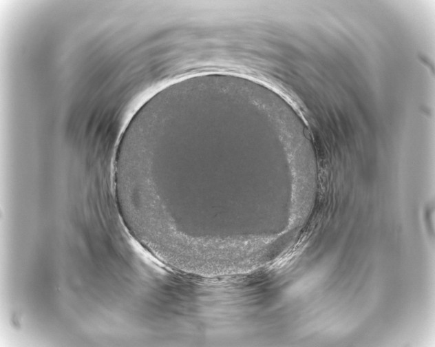 X0000093461535200711021124