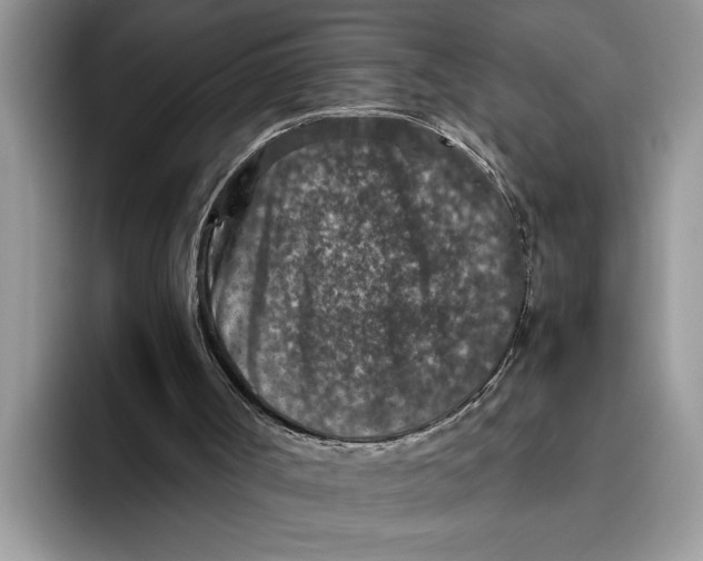 X0000093460002200711091558