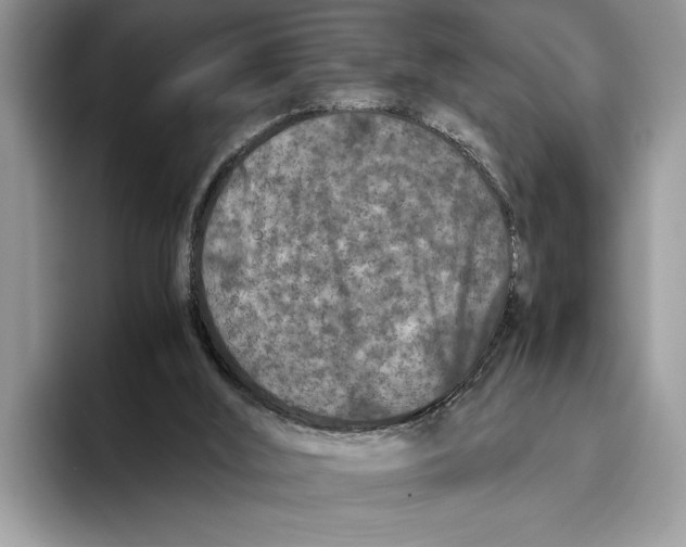 X0000093460012200711091557