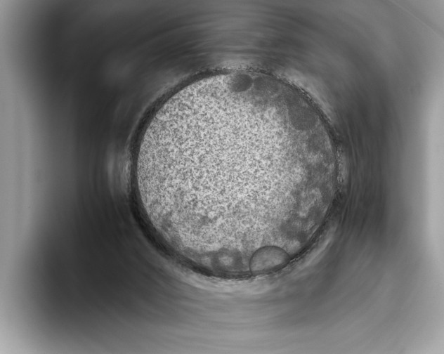 X0000093460016200711091557