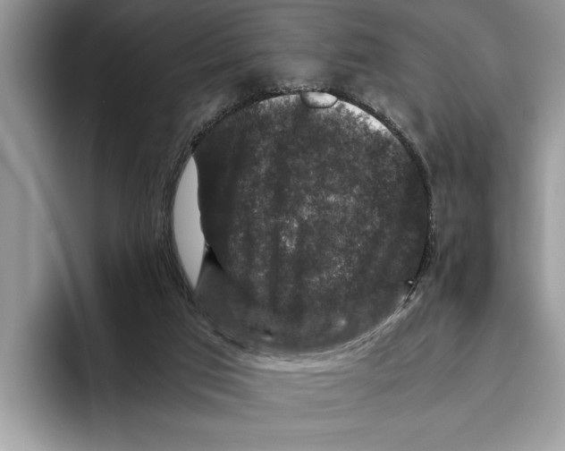 X0000093460017200711091557
