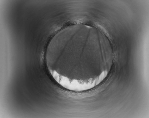X0000093460018200711091557