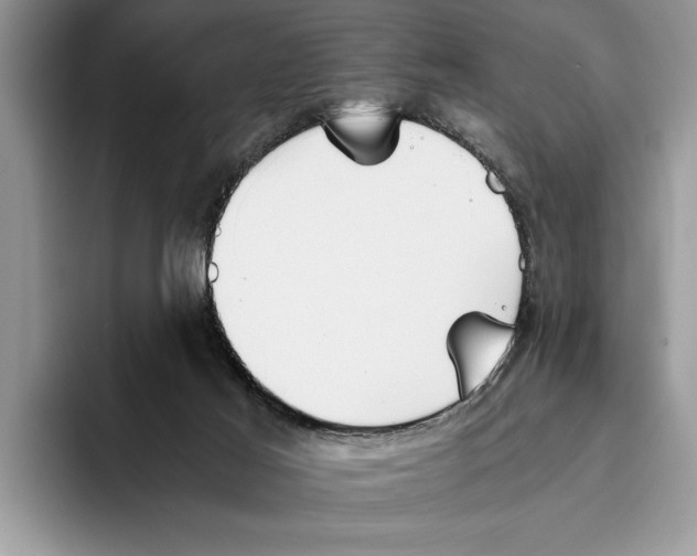 X0000093460021200711091557