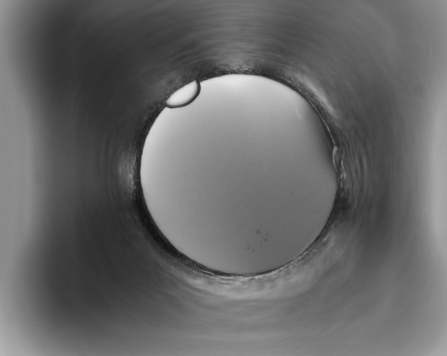 X0000093460023200711091557