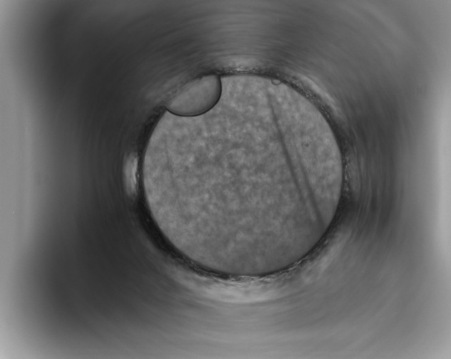 X0000093460024200711091557