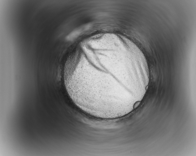 X0000093460032200711091557