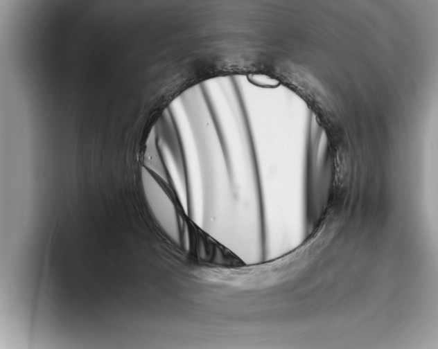 X0000093460033200711091557