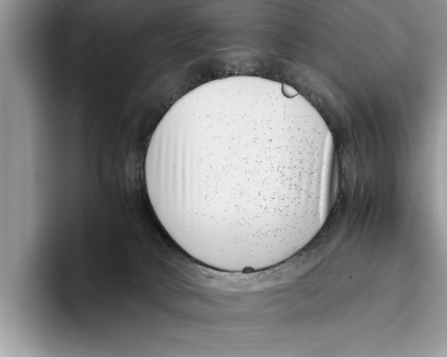 X0000093460034200711091557