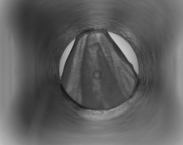 X0000093460037200711091557