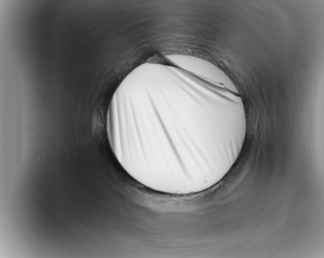 X0000093460040200711091557