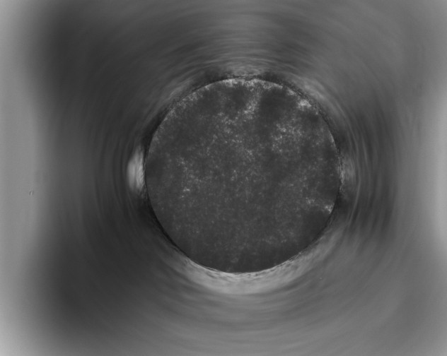 X0000093460046200711091557