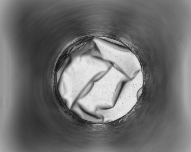 X0000093460050200711091556