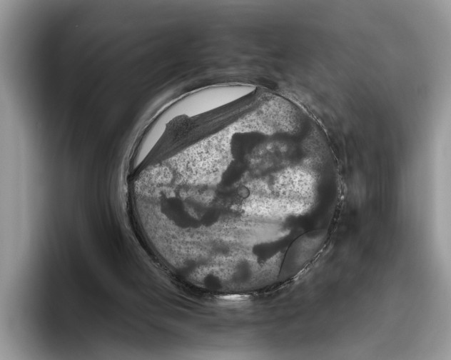 X0000093460053200711091557