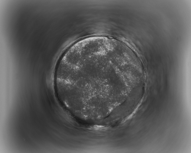 X0000093460055200711091557