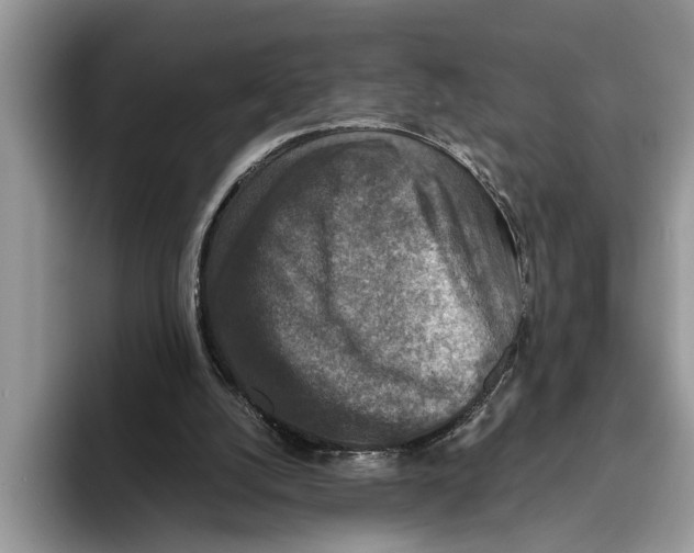 X0000093460056200711091557