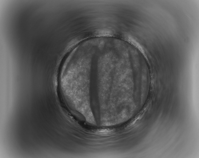 X0000093460059200711091557