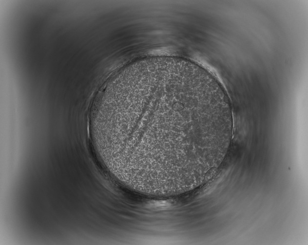 X0000093460061200711091557